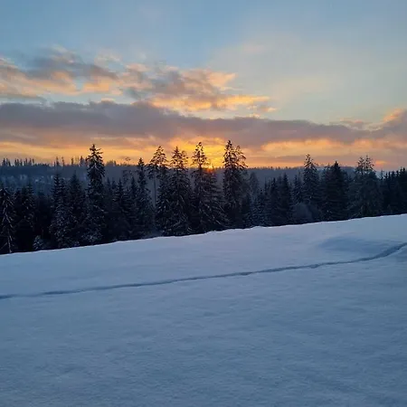 Koniakowo - Dom Forest Prázdninový dům Koniaków