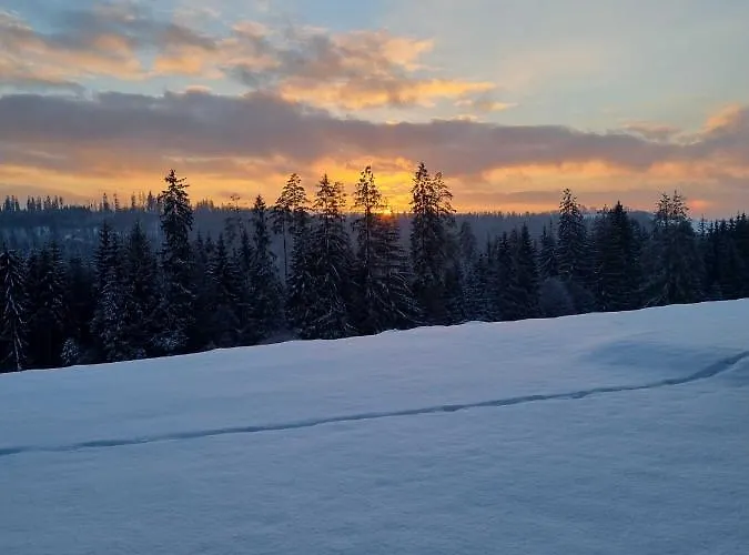 Koniakowo - Dom Forest Prázdninový dům Koniaków