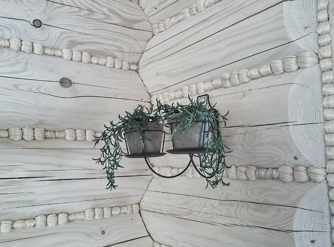 Koniakowo - Dom Forest Koniaków